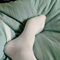 找个衡阳的狗奴